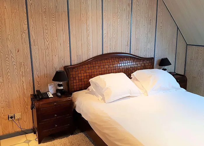 Hotel Western Ile De France 4*